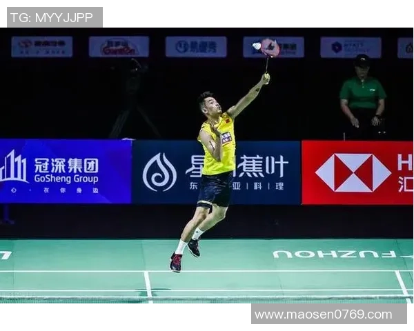 武汉羽毛球队技术分析与表现评估探讨及未来发展方向研究