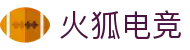 火狐电竞·(中国区)电子竞技平台